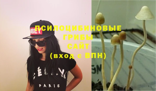 хмурый Коряжма