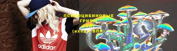 a pvp Костерёво