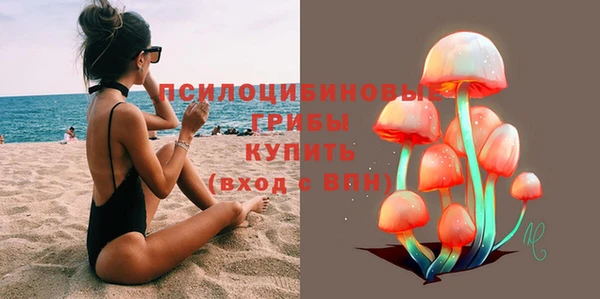 a pvp Костерёво