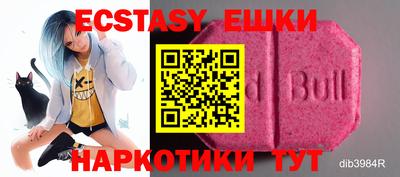 стаф Аргун