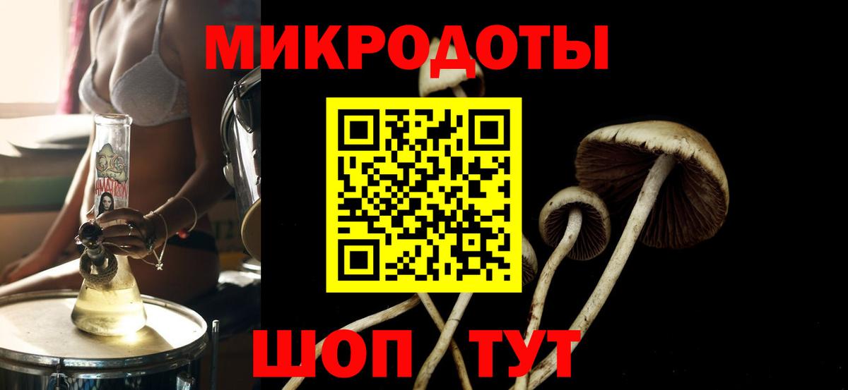 Бийск  Галлюциногенные грибы Psilocybine cubensis  Вход с VPN 
