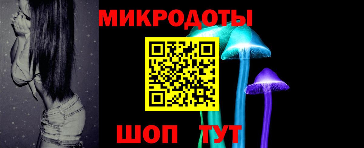 Псилоцибиновые грибы Psilocybe Бийск